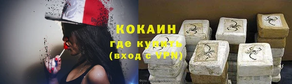 крисы Осинники