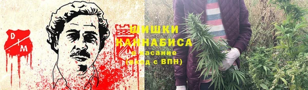 крисы Осинники