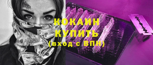 крисы Осинники