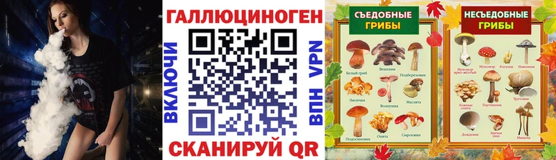 Галлюциногенные грибы Psilocybe  Камбарка 